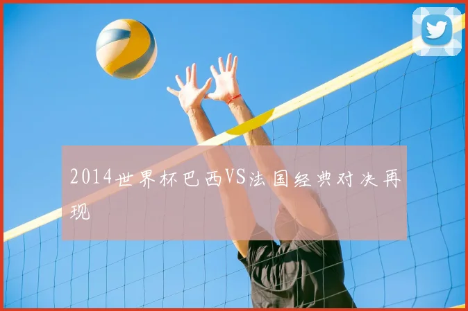 2014世界杯巴西VS法国经典对决再现