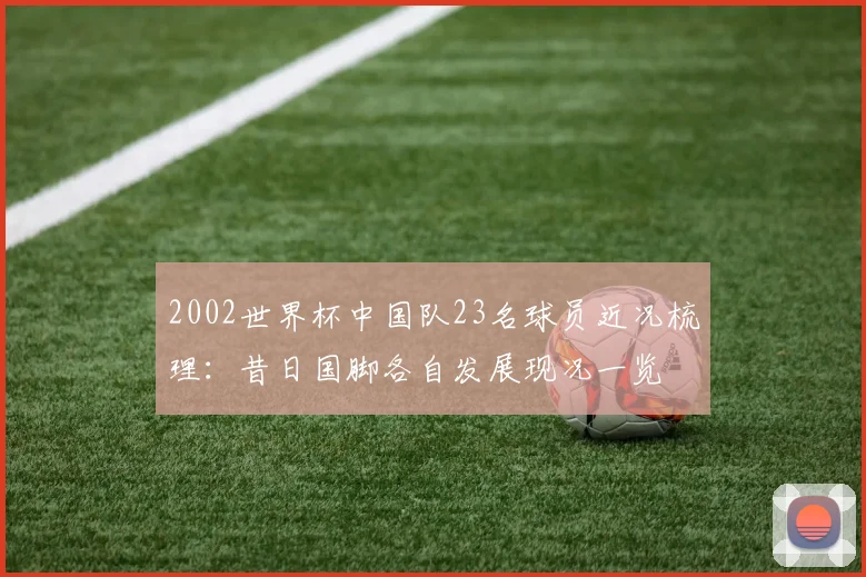 2002世界杯中国队23名球员近况梳理：昔日国脚各自发展现况一览