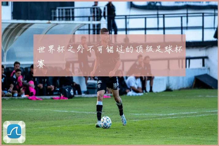 世界杯之外不可错过的顶级足球杯赛