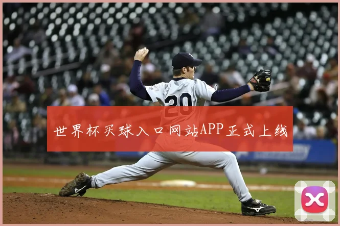 世界杯买球入口网站APP正式上线