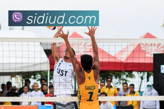 多媒体互动体验